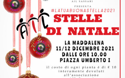STELLE DI NATALE AIL 2021